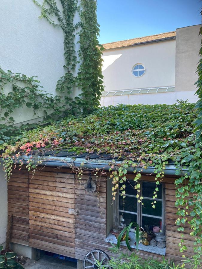 Pension Sunnseitn - Gasthof - Cafe - Weinkeller Haslach an der Mühl Exteriér fotografie