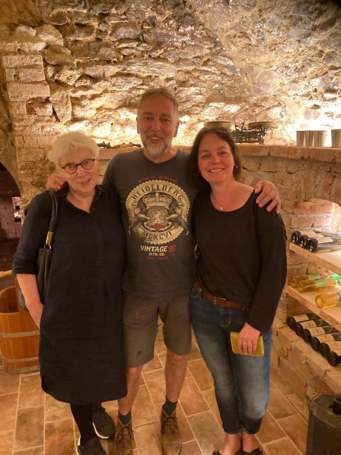 Pension Sunnseitn - Gasthof - Cafe - Weinkeller Haslach an der Mühl Exteriér fotografie