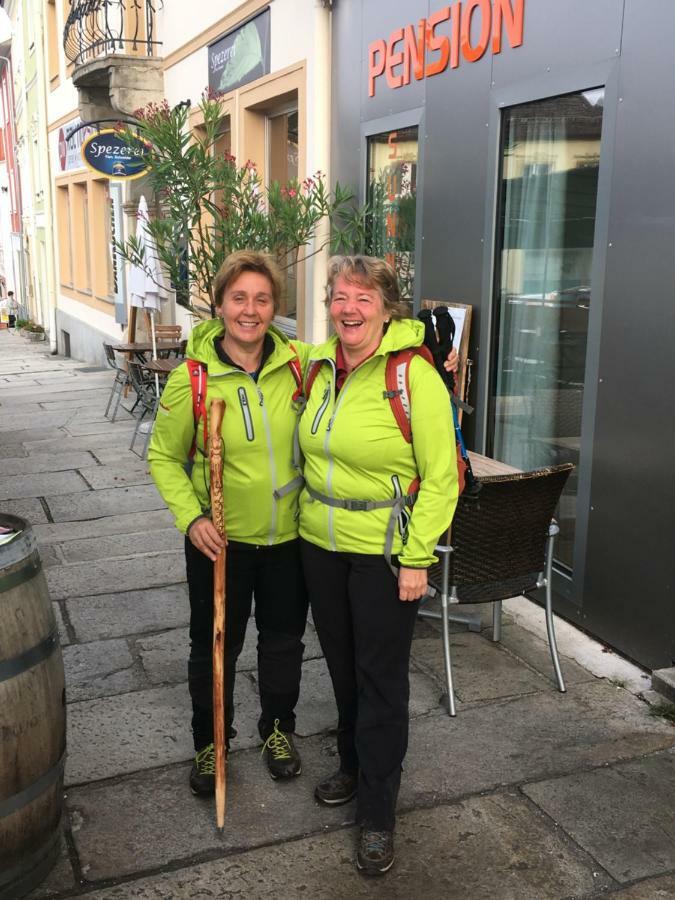 Pension Sunnseitn - Gasthof - Cafe - Weinkeller Haslach an der Mühl Exteriér fotografie